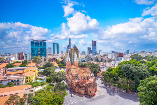 Dịch vụ Giám đốc tài chính